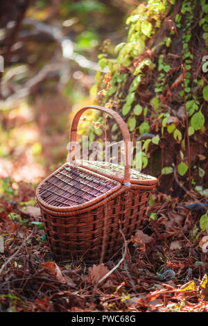 Cestino pic-nic in un bosco in autunno in presenza di luce solare con spazio di copia Foto Stock