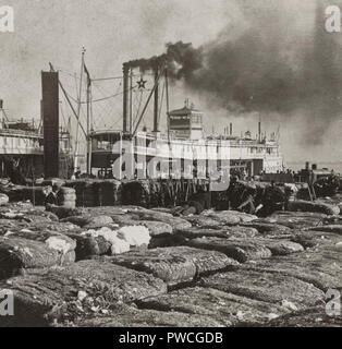 Il cotone argine, New Orleans, Louisiana., U.S.A., circa 1903 Foto Stock