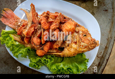 Lutiano Fritto servito stile di famiglia in Tailandia in Asia. Foto Stock