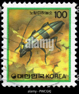 Con timbro postale timbro dalla Corea del Sud con la serie di insetti emessi nel 1991 Foto Stock