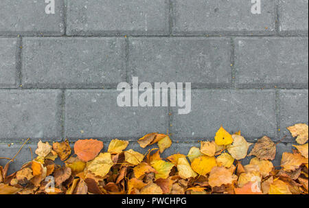 Foglie di autunno sulla pavimentazione in pietra mattoni sfondo Foto Stock