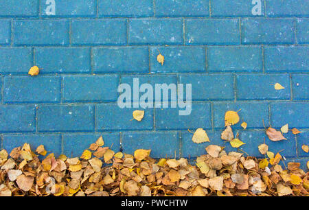 Foglie di autunno blu sulla pavimentazione in pietra mattoni sfondo Foto Stock