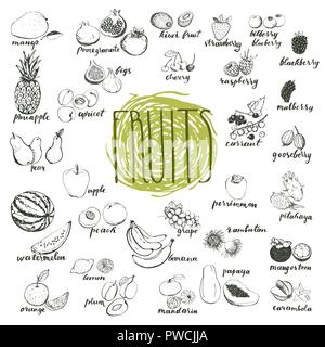 Frutti disegnati a mano bozzetti isolati su sfondo bianco. Frutta organica degli elementi di Progettazione menu. Materie frutti e bacche di raccolta. Illustrazione Vettoriale