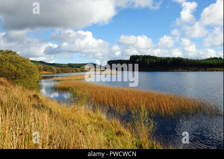 Vista panoramica sul lago Meenameen del Lough Navar Forest in Co. Fermanagh, Irlanda del Nord Foto Stock