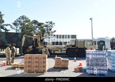 Stati Uniti Avieri e soldati dalla Georgia National Guard per distribuire cibo e acqua nella contea di Miller, Ga. Ottobre 13, 2018 durante l uragano Michael soccorsi, 13 ottobre 2018. La Georgia la guardia nazionale sta lavorando in stretto coordinamento con la Georgia Emergency Management Agency e degli enti locali per la distribuzione di materiali di consumo e comportamento di gioco del percorso. (U.S. Air National Guard foto di Tech. Sgt. Ambra Williams). () Foto Stock