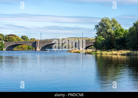 Un paio di kayak passando sotto un ponte mentre praticare canottaggio nel fiume Dee, Aberdeen Foto Stock
