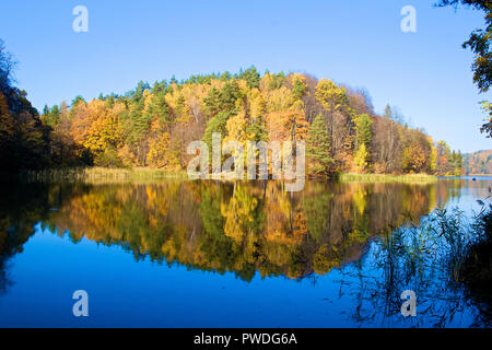 Bellissimi alberi colorati Bosco in autunno si riflette in un lago blu come in uno specchio Foto Stock
