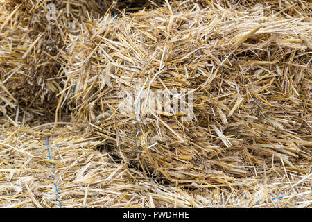 Berlino, Germania, Settembre 22, 2018: Full Frame Close-Up di balle di paglia Foto Stock