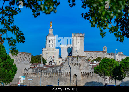 La Francia. Vaucluse (84). Avignon. Le mura che circondano il palazzo dei papi, un sito Patrimonio Mondiale dell'UNESCO, e Notre Dame des Doms cattedrale romana Foto Stock