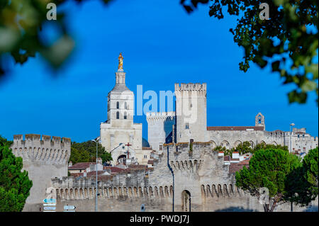 La Francia. Vaucluse (84). Avignon. Le mura che circondano il palazzo dei papi, un sito Patrimonio Mondiale dell'UNESCO, e Notre Dame des Doms cattedrale romana Foto Stock