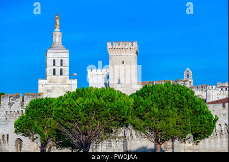 La Francia. Vaucluse (84). Avignon. Le mura che circondano il palazzo dei papi, un sito Patrimonio Mondiale dell'UNESCO, e Notre Dame des Doms cattedrale romana Foto Stock