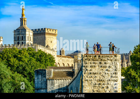 La Francia. Vaucluse (84). Avignon. Pont Saint-Bénézet, comunemente chiamato Pont d'Avignon, costruito dal 1177 al 1185 sul Rodano. Foto Stock