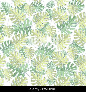 Vector seamless pattern con foglie di monstera su un bianco Illustrazione Vettoriale