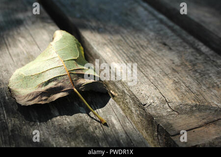 Foglia secca nella rustica di vecchie tavole di legno superficie. Malinconico sfondo dell'arrivo dell'autunno e cadere. Con copyspace. Foto Stock