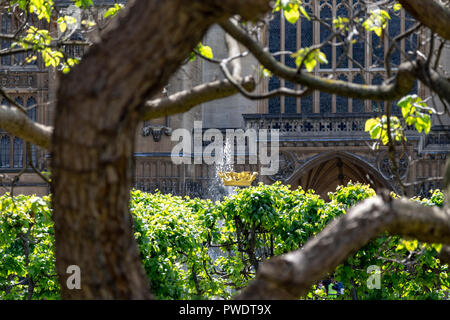 Westminister Palace, London, Regno Unito Foto Stock