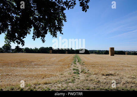 Vista attraverso i campi, Datchworth, Hertfordshire Foto Stock