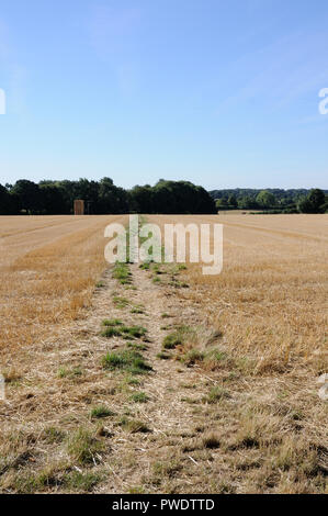 Vista attraverso i campi, Datchworth, Hertfordshire Foto Stock