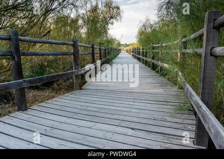 Percorso di legno in Algarve in Portogallo Foto Stock