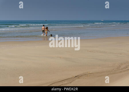 Coppia romantica camminando lungo la spiaggia con un cane. Amorevole Coppia matura per passeggiare sulla riva del mare con il cane. Foto Stock