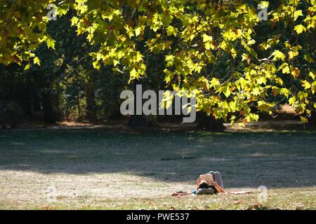 Leipzig, in Sassonia. 15 ottobre, 2018. Una giovane donna è sdraiati al sole in Clara Zetkin Park lettura. Credito: Sebastian Willnow/dpa-Zentralbild/dpa/Alamy Live News Foto Stock