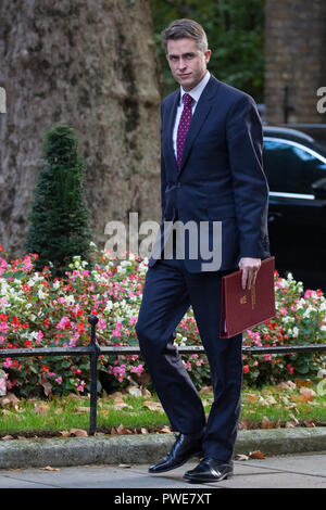 Londra, Regno Unito. 16 ottobre, 2018. Gavin Williamson MP, Segretario di Stato per la difesa, arriva al 10 di Downing Street per una riunione del gabinetto durante la quale il Primo Ministro Theresa Maggio è atteso a cercare assistenza cabinet per chiedere i leader dell'UE per far cadere il loro fermo irlandese proposta a livello europeo la cena la sera seguente. Credito: Mark Kerrison/Alamy Live News Foto Stock