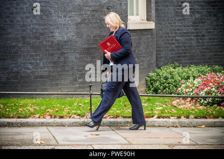 Karen Bradley. Xvi oct, 2018. Il segretario di Stato per l'Irlanda del Nord arriva a Downing Street settimanale per la riunione di gabinetto. Credito: Velar concedere/ZUMA filo/Alamy Live News Foto Stock