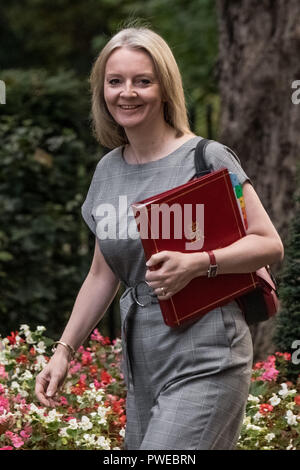 Londra, Regno Unito. 16 ottobre, 2018. Ministri di arrivare per un esteso riunione del gabinetto al 10 di Downing Street. Credito: Guy Corbishley/Alamy Live News Foto Stock