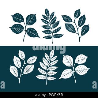 Foglie decorative set. Concetto di natura. Silhouette illustrazione vettoriale Illustrazione Vettoriale