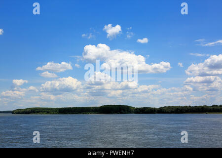 La Bulgaria, nord-est della Bulgaria, Danubio paesaggio vicino Silistra, Dobruja, Dobrudja, Dobruja meridionale, paesaggio fluviale, nuvole, dalle rive del Danubio, bosco Foto Stock