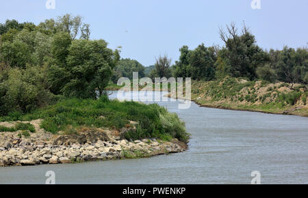 Paesaggio del Danubio vicino a Crisan al ramo di Sulina, riva del Danubio, tributario, bosco, Romania, Tulcea contea, Dobrudja, il Delta del Danubio, Riserva della Biosfera del Delta del Danubio, sul delta del fiume, estuario del fiume Danubio in bocca al Mar Nero, Sito Patrimonio Mondiale dell'UNESCO, monumento naturale Foto Stock