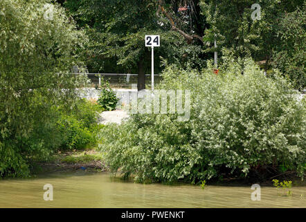 Informazioni segno, kilometrage del fiume Danubio, 24 chilometri di fiume a sinistra verso la foce, navigazione sul Danubio, dalle rive del Danubio, paesaggio fluviale Crisan vicino al ramo di Sulina, Romania, Tulcea contea, Dobrudja, il Delta del Danubio, Riserva della Biosfera del Delta del Danubio, sul delta del fiume, estuario del fiume Danubio in bocca al Mar Nero, Sito Patrimonio Mondiale dell'UNESCO, monumento naturale Foto Stock