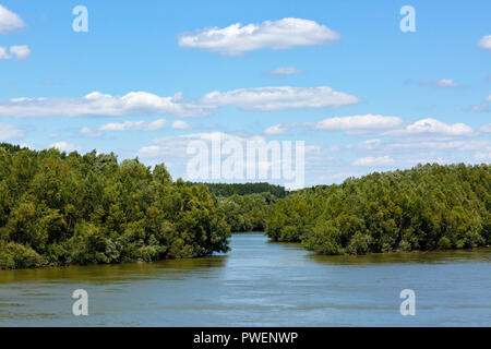 Ungheria, Kandafok sul Danubio tra Mohacs e Dunaszekcsoe, oltre Danubio, Dél-Dunántúl, Contea di Baranya, Danube-Drava National Park, Danubio paesaggio, paesaggio fluviale, Holm, boschi, foreste alluvionali, tributario torrente, cumulus nubi Foto Stock