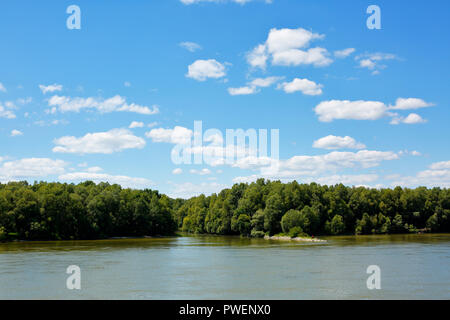 Ungheria, oltre Danubio, Dél-Dunántúl, Contea di Baranya, Danubio paesaggio vicino Dunaszekcsoe, Danube-Drava National Park, paesaggio fluviale, filiale di fiume, boschi, foreste alluvionali, tributario torrente, cumulus nubi Foto Stock