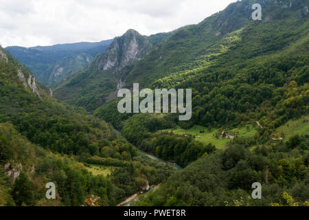 Tara canyon, Montenegro. Il secondo canyon più profondo al mondo dopo il Grand Canyon, STATI UNITI D'AMERICA Foto Stock