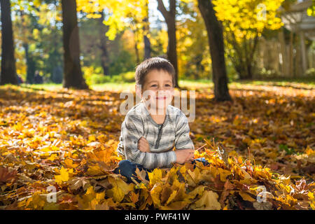 Happy little boy in autunno park giocando con caduta foglie. Sunny autunno. Foto Stock