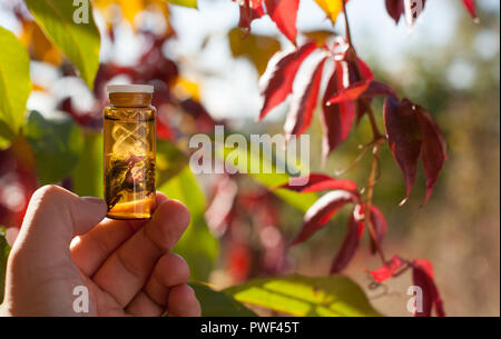 Bach speziale, Remedy. I Rimedi Fiori di Bach - medicina naturale. Foto Stock