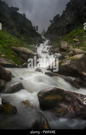 La natura del display Foto Stock