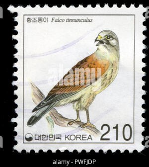 Con timbro postale timbro dalla Corea del Sud con il Falco tinnunculus serie emesso nel 2002 Foto Stock