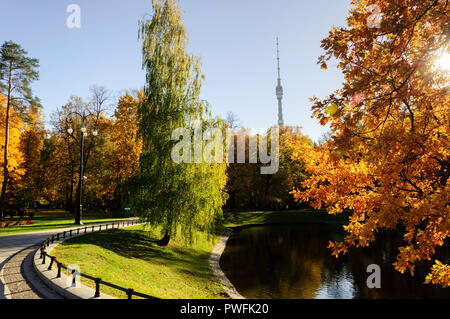 Indiano estate in città Foto Stock