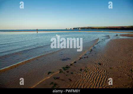 Tramonto a bassa marea sulla spiaggia Studland nel Dorset, su una soleggiata giornata autunnale Foto Stock