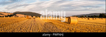 Nei pressi di Presteigne, Powys, Regno Unito. Nella tarda estate del paesaggio di campi di stoppie e le balle di paglia nella campagna di confine tra Herefordshire e Galles Foto Stock