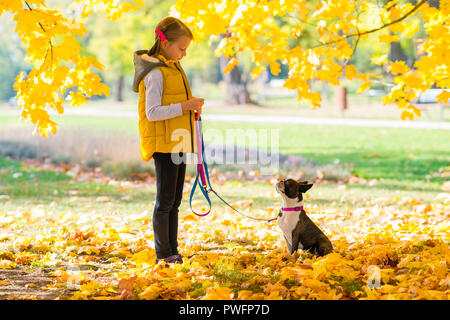 Bambina giocando in un parco d'autunno con Boston Terrier cane. Tempo libero concept Foto Stock