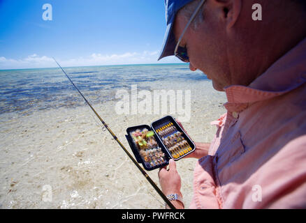 Scena di saltwater fly fishing per Bonefish, Tarpon, roosterfish, mahi mahi, tonno, sgombri e permesso. Foto Stock