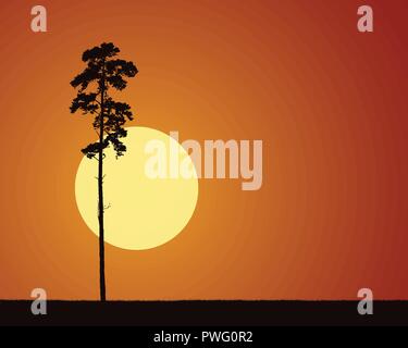 Illustrazioni realistiche con stagliano conifera albero ed erba, con l'aumento o impostazione di sole al mattino o alla sera cielo arancione - vettore Illustrazione Vettoriale
