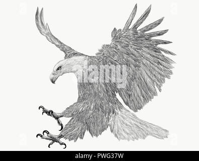 Aquila calva fly sbarco mano disegna schizzi monocromatico su sfondo bianco illustrazione. Foto Stock