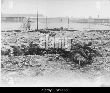 A Buchenwald Leipzig-Thekla cadaveri 3. Foto Stock