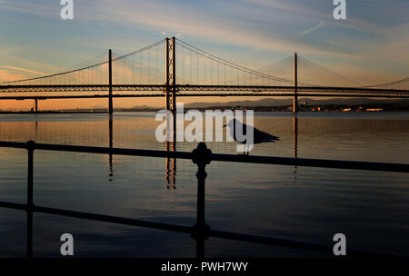 Una vista da South Queensferry, nei pressi di Edimburgo, del Forth Road Bridge e la Queensferry attraversando al tramonto. Foto Stock