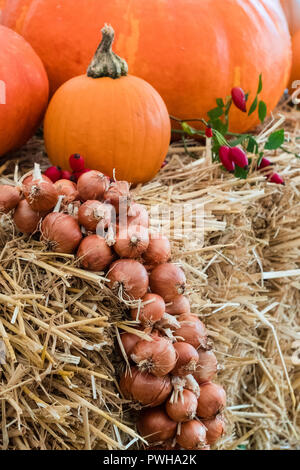 Una visualizzazione di una Raccolta zucche e una treccia di cipolle. Foto Stock