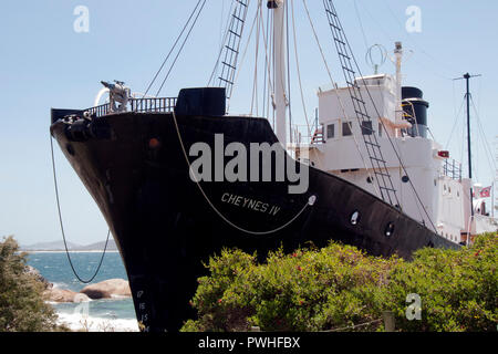 Albany Australia, barca con arpione sul display alla vecchia stazione baleniera Foto Stock