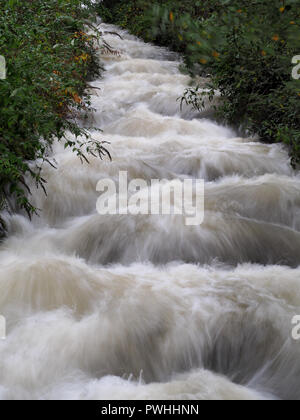 Garw fiume in piena alluvione tumbling giù per la collina incorniciato da alberi a sbalzo, Blaengarw, Mid Glamorgan, South Wales Foto Stock
